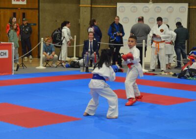 junior kumite